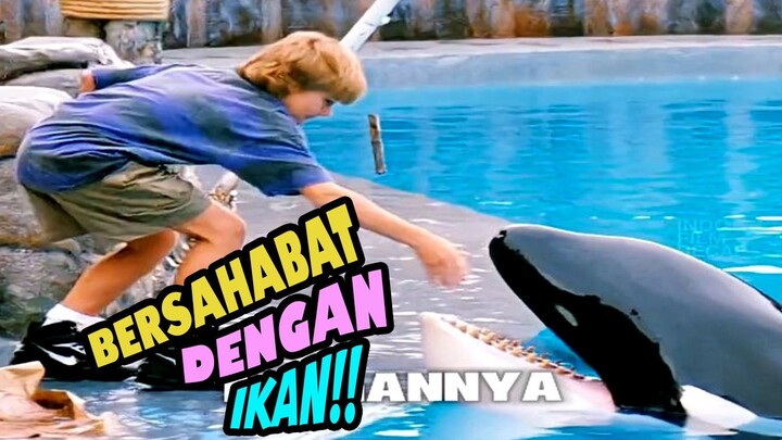 BERSAHABAT DENGAN IKAN PAUS