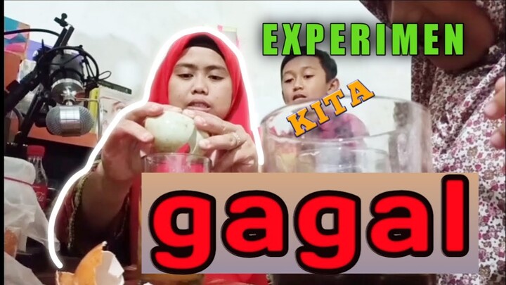 Melakukan Experimen TELUR | COCA COLA | SPRIT lihat HASILNYA