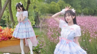 【bdf2023】✧Sorotan✧ Berdansa dengan gadis manis di antara bunga~