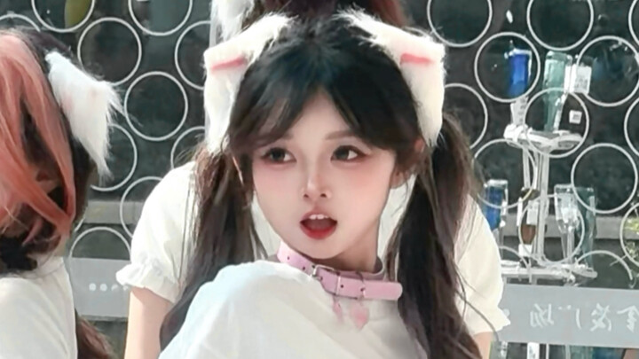 This little cat glows in the sunlight ᯠ_  ̫ _ᯄ  ੭ [ILLIT - Do the Dance (The Borrowed Cat)] Moka’s s