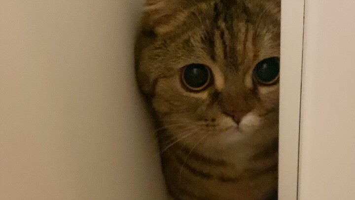 قول ما تشتهي! خُذ! كل شيء لك!