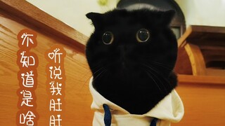 Hari baikmu, Qian Suisui, akan segera berakhir...