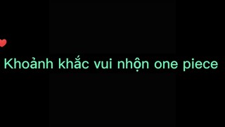 Khoảnh khắc vui nhộn của one piece