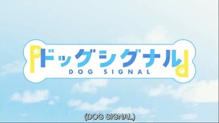 dog signal ep 12