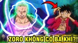 ZORO KHÔNG CÓ HAKI BÁ VƯƠNG?! | NHỮNG TRANH CÃI HẠI NÃO NHẤT ONE PIECE