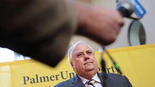 Environment Minister Plibersek blocks Clive Palmer’s QLD mine project