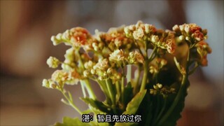 忘羡/一枝梨花压海棠（中集）/老流氓帝王机×软糯小美人羡/甜向HE/年龄差大，无三观，慎入/