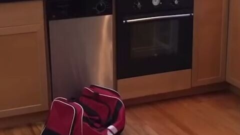 I will send you to jesus []Original