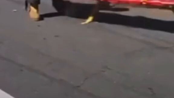 matotoluyan na cguro to🤣