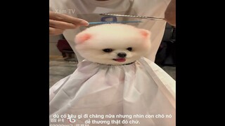 Review Cứ Mỗi Sáng Thức Dậy | Review Những Video Triệu View | Kênh Xàm TV
