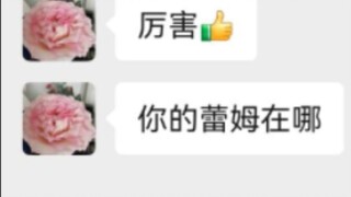 《关于我的母上大人问我我的蕾姆在哪这件事》