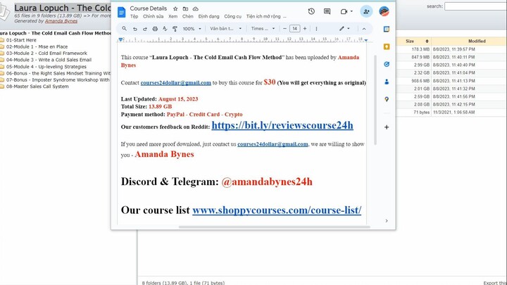 [$30] Laura Lopuch - The Cold Email Cash Flow Method