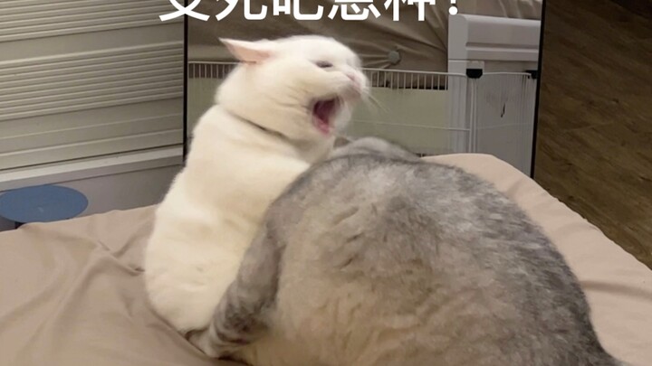 Kayak pacar kamu yang nggak jago main tapi suka ngoceh terus, gak?