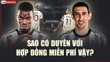 Vì sao Juventus có duyên với các bản HỢP ĐỒNG MIỄN PHÍ?