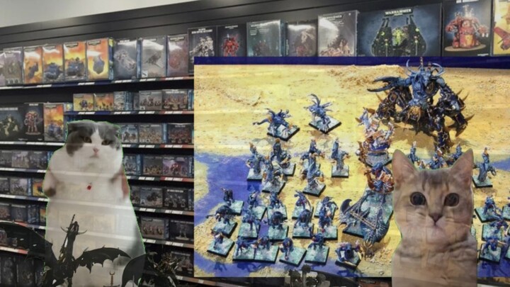 【Cat meme】Warhammer on the table