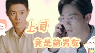 肖战水仙《上司竟是前男友》第六集（补）【双顾】（破镜重圆/甜虐向）