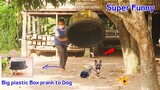 Funny Prank Big Plastic box & Ring Prank on Dog must funny video 🤣🤣