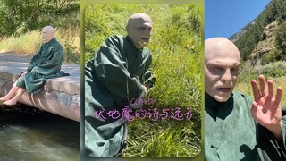 伏地魔有自己的诗和远方😂