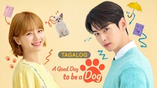 🇰🇷🇵🇭EP. 6 A GOOD DAY TO BE A DOG [TAGALOG DUBBED] HD | Comedy/Fantasy/Romance