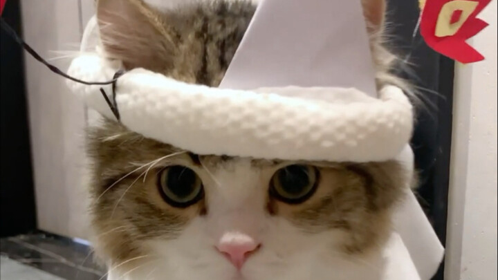 Thôi thì nói thế này: đừng có mà lêu lổng linh tinh nhé!