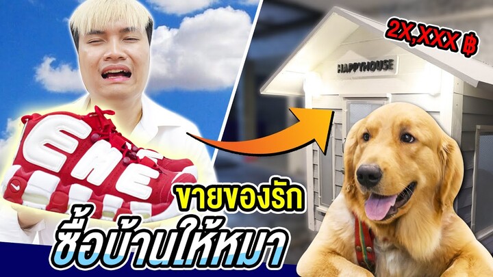 ขายรองเท้าคู่แรกในชีวิต! เพื่อซื้อบ้านให้หมา ราคา 20,000 - คนเปย์หมา EP.1