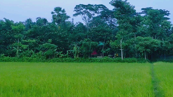 Actually, you can only find the fun of the village in the village, #bilibili #foryou #viral