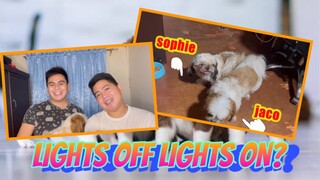 JACO AND SOPHIE BREEDING FOR THE FIRST TIME | SHIHTZU MALSHIH