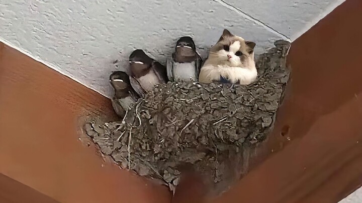 强者从不抱怨环境！