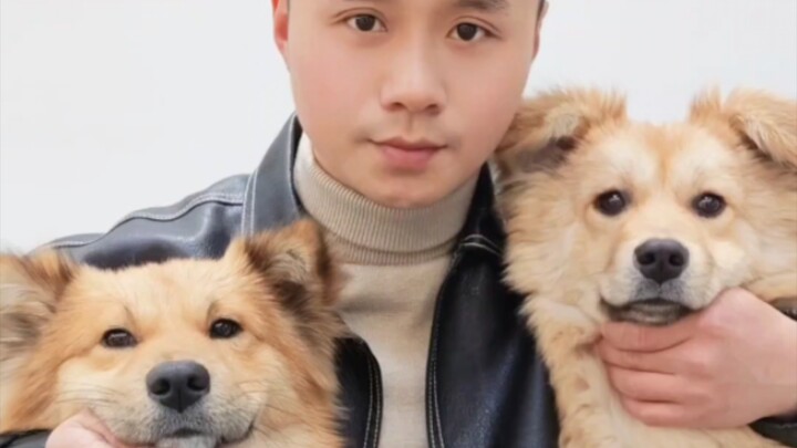 Jodoh macam apa yang membuatku menemukan dua ekor anjing yang sama?