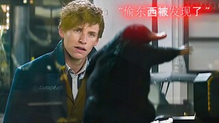 拥有一只家财万贯哈哈哈！