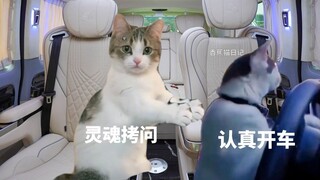 When I sat in the passenger seat of my exclusive driver!