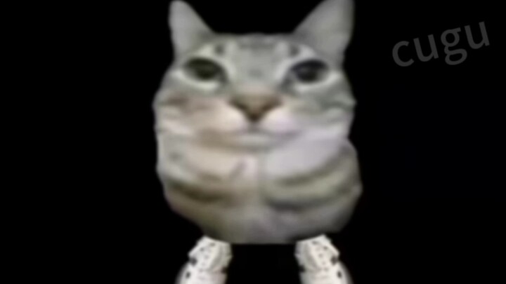 ？