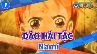 [ĐẢO HẢI TẶC] Ký ức của Nami (Làng Cocoyasi)[MAD/AMV]_1