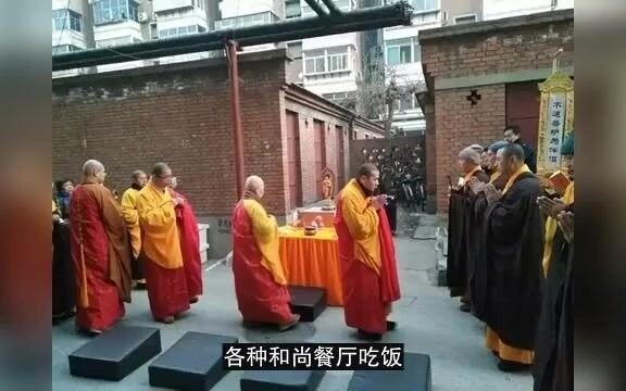 How Do You Survive With Zero Money? The Homeless Survival Guide 1.0