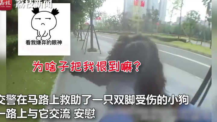 Chengdu traffic police officer mutters while rescuing an injured puppy: "Does your foot still hurt?"