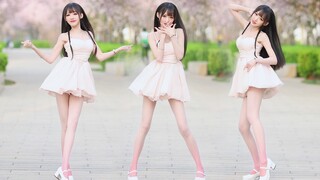 甜妹和樱花该怎么选……？