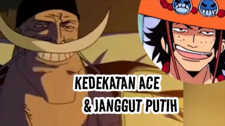 KEDEKATAN ACE & JENGGOT PUTIH #onepiece