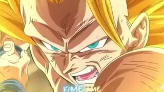 Để các bạn xem khí công kiểu Rùa là gì.