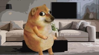 If you were asked to choose, which one would you choose?