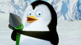 Penguins Playfully - Penguins With Seagulls - New Funny Cartoon For Kids 2019