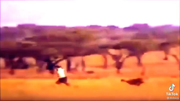 human