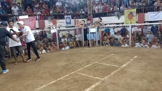 2hits ulutan sta quiteria champion aug 21 2023