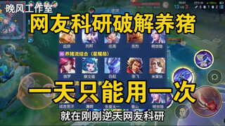 网友破解五排养猪流车队，猪王一觉醒来天塌了.
