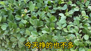 ใครที่มีปัญหาในเยี่ยนเจียวมาเอาได้เลย เอาจากประชาชน ใช้เพื่อประชาชน