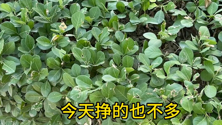 If you're having trouble in Yanjiao, come and take it—taken from the people, used for the people.