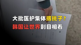 هل يستقيل عدد كبير من الكوادر الطبية بشكل جماعي؟ كوريا الجنوبية تُلفت انتباه العالم.