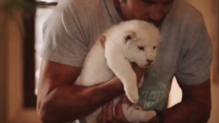 เมื่อคุณเลี้ยงสิงโตขาว คุณจะพบว่าคุณรู้สึกปลอดภัยมากกว่าอยู่กับแฟนอีก