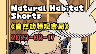 20230817 《自然动物观察局》- Natural Habitat Short 🦔 Going Down