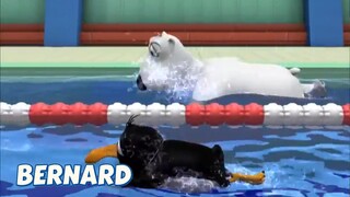 BERNARD BEAR || SWIMMING - CARTOON CHILDREN