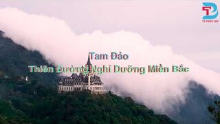 TAM ĐẢO THỊ TRẤN SƯƠNG MÙ